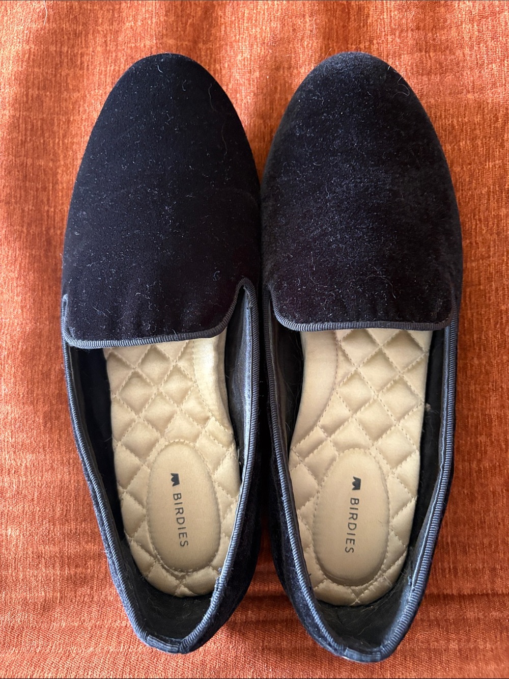 Birdies “The Starling” Black Velvet Women's Slip-On Loafers